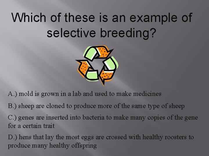 Which of these is an example of selective breeding? A. ) mold is grown