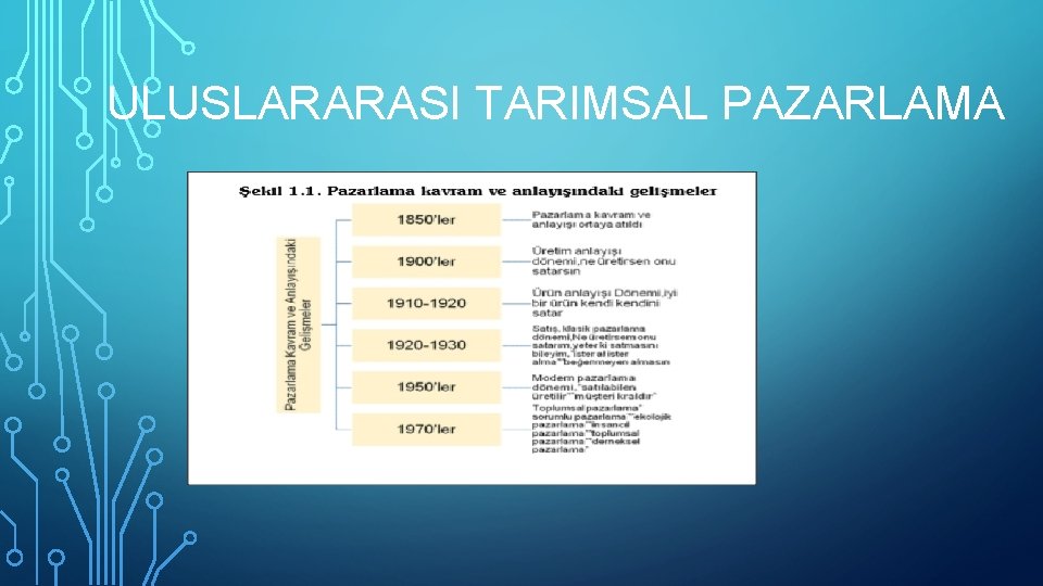 ULUSLARARASI TARIMSAL PAZARLAMA 