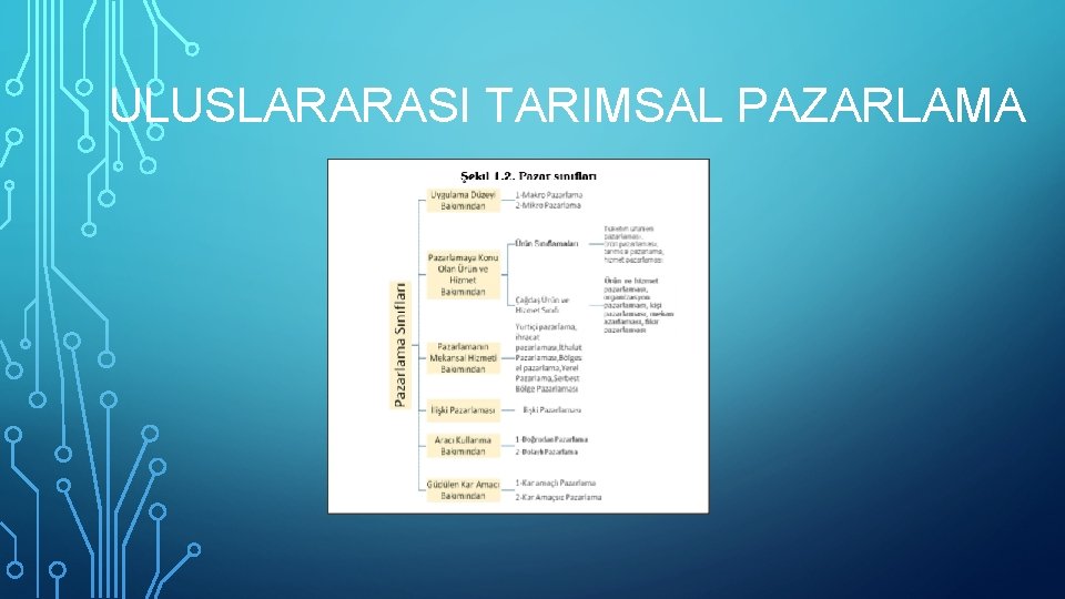 ULUSLARARASI TARIMSAL PAZARLAMA 
