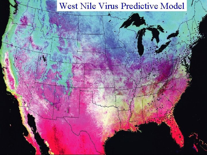 West Nile Virus Predictive Model 