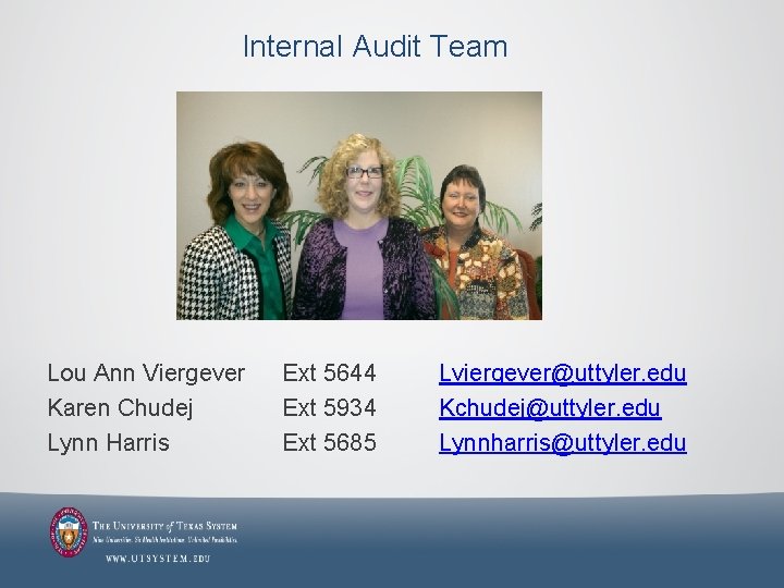 Internal Audit Team Lou Ann Viergever Karen Chudej Lynn Harris Ext 5644 Ext 5934