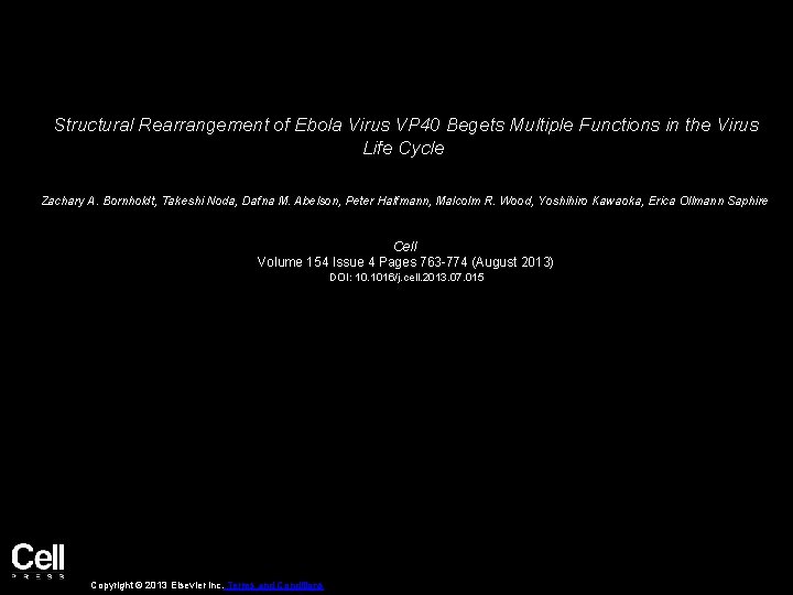 Structural Rearrangement of Ebola Virus VP 40 Begets Multiple Functions in the Virus Life