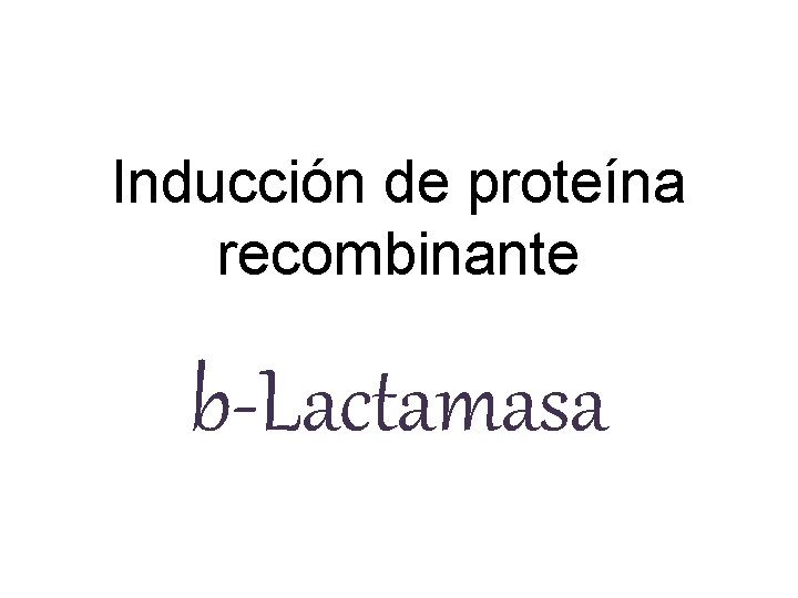 Inducción de proteína recombinante b-Lactamasa 