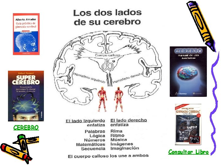 CEREBRO Consultar Libro 