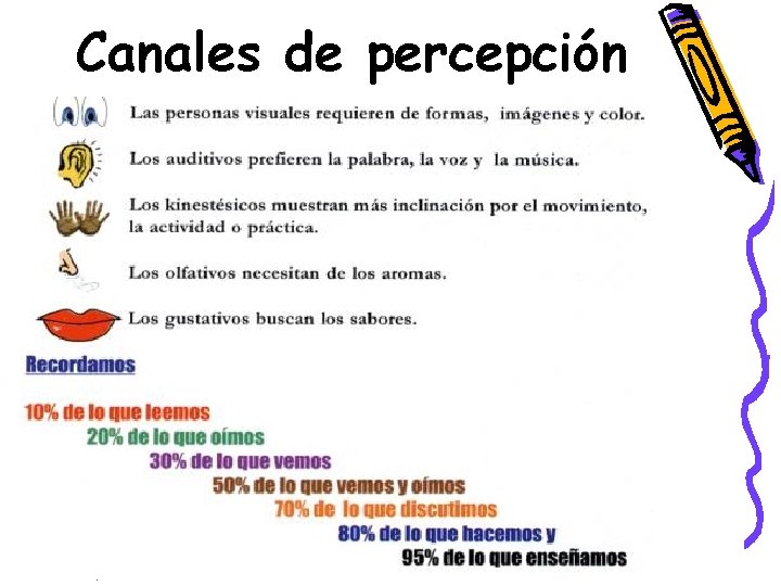 Canales de percepción 