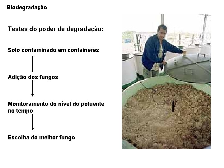 Biodegradação Testes do poder de degradação: Solo contaminado em containeres Adição dos fungos Monitoramento