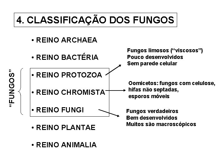 4. CLASSIFICAÇÃO DOS FUNGOS • REINO ARCHAEA “FUNGOS” • REINO BACTÉRIA Fungos limosos (“viscosos”)