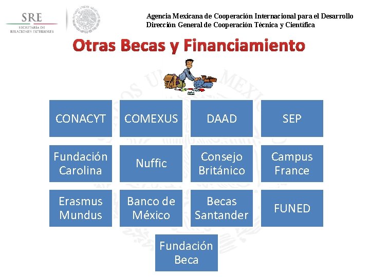 Agencia Mexicana de Cooperación Internacional para el Desarrollo Dirección General de Cooperación Técnica y