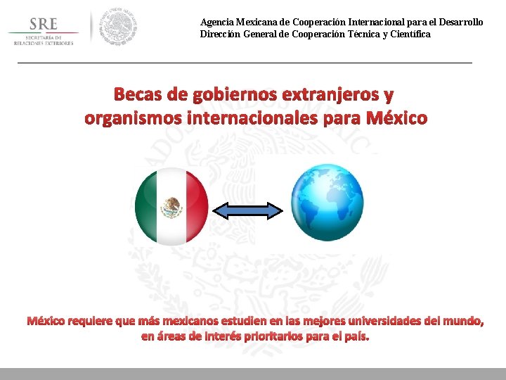 Agencia Mexicana de Cooperación Internacional para el Desarrollo Dirección General de Cooperación Técnica y