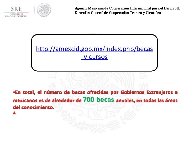 Agencia Mexicana de Cooperación Internacional para el Desarrollo Dirección General de Cooperación Técnica y