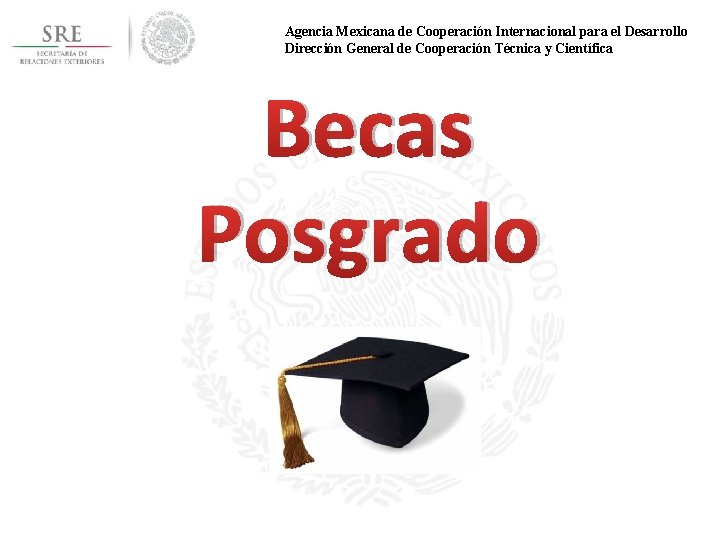 Agencia Mexicana de Cooperación Internacional para el Desarrollo Dirección General de Cooperación Técnica y