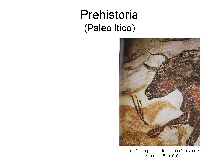 Prehistoria (Paleolítico) Toro. Vista parcial del techo (Cueva de Altamira, España). 