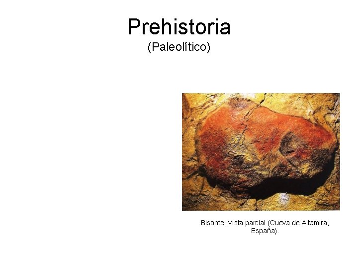 Prehistoria (Paleolítico) Bisonte. Vista parcial (Cueva de Altamira, España). 