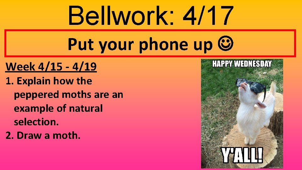 Bellwork: 4/17 Put your phone up Week 4/15 - 4/19 1. Explain how the