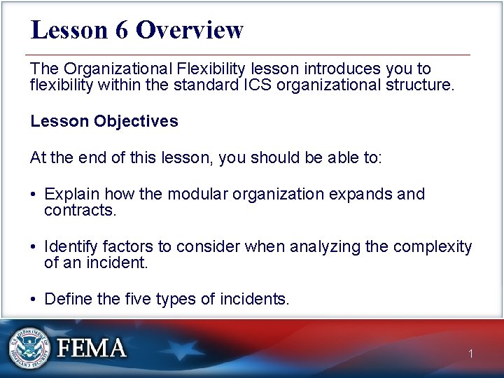 Lesson 6 Overview The Organizational Flexibility lesson introduces you to flexibility within the standard