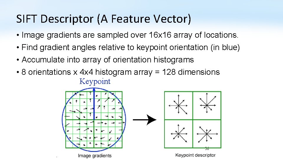 SIFT Descriptor (A Feature Vector) • Image gradients are sampled over 16 x 16