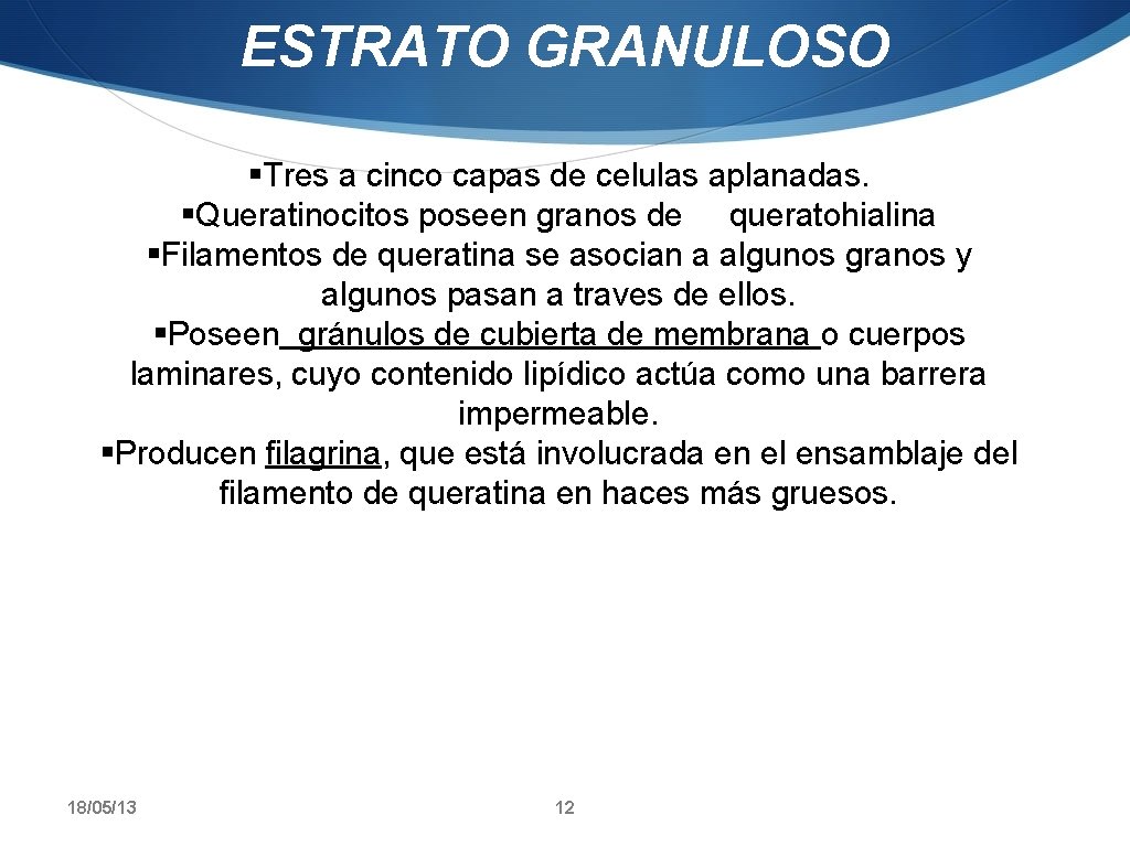 ESTRATO GRANULOSO §Tres a cinco capas de celulas aplanadas. §Queratinocitos poseen granos de queratohialina