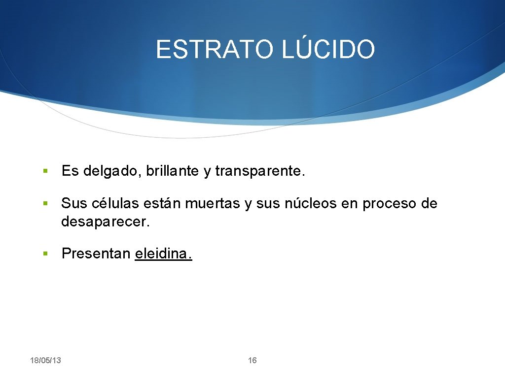 ESTRATO LÚCIDO § Es delgado, brillante y transparente. § Sus células están muertas y