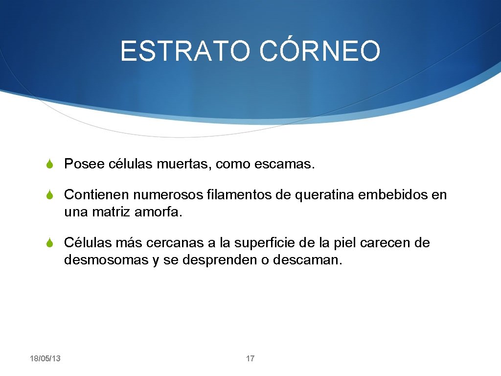 ESTRATO CÓRNEO S Posee células muertas, como escamas. S Contienen numerosos filamentos de queratina