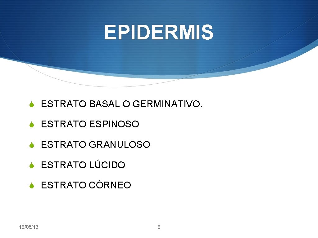 EPIDERMIS S ESTRATO BASAL O GERMINATIVO. S ESTRATO ESPINOSO S ESTRATO GRANULOSO S ESTRATO