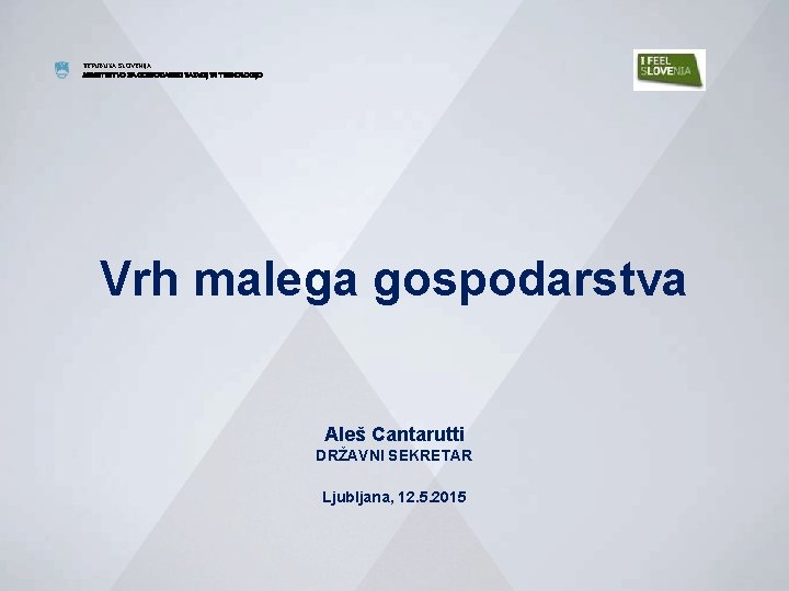 REPUBLIKA SLOVENIJA MINISTRSTVO ZA GOSPODARSKI RAZVOJ IN TEHNOLOGIJO Vrh malega gospodarstva Aleš Cantarutti DRŽAVNI