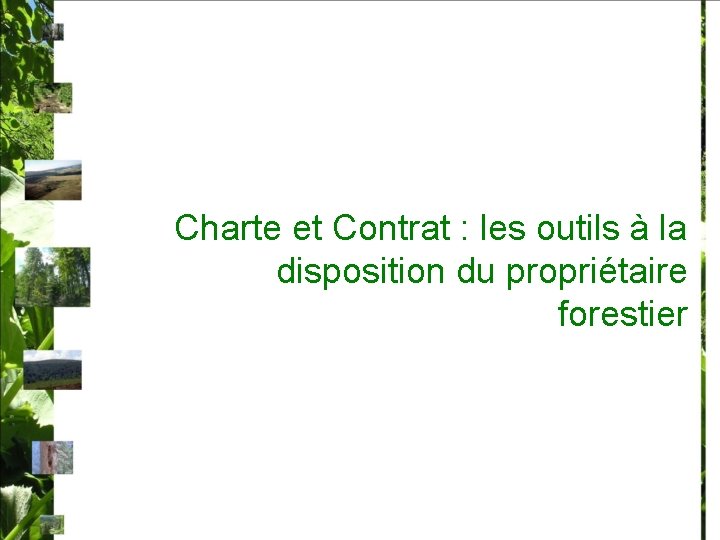 Charte et Contrat : les outils à la disposition du propriétaire forestier 