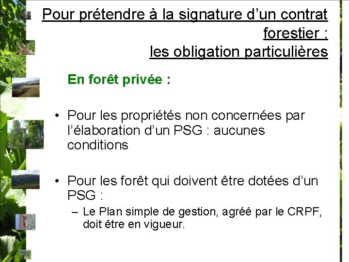 Pour prétendre à la signature d’un contrat forestier : les obligation particulières En forêt