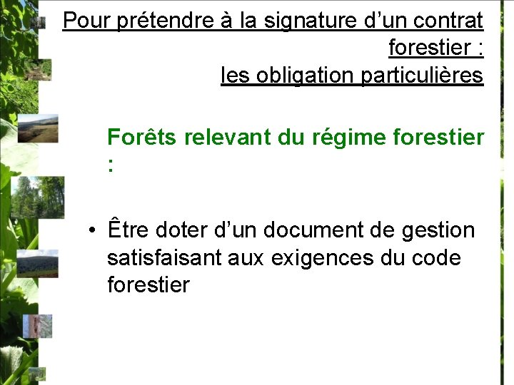 Pour prétendre à la signature d’un contrat forestier : les obligation particulières Forêts relevant