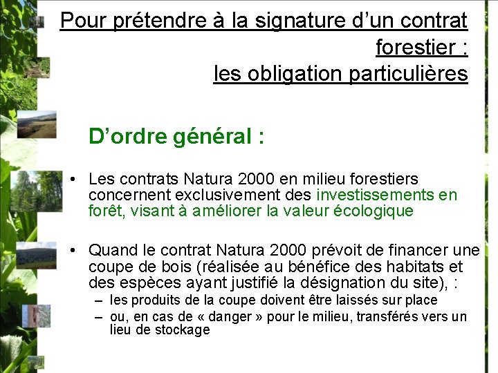 Pour prétendre à la signature d’un contrat forestier : les obligation particulières D’ordre général