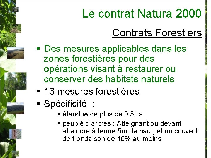 Le contrat Natura 2000 Contrats Forestiers § Des mesures applicables dans les zones forestières