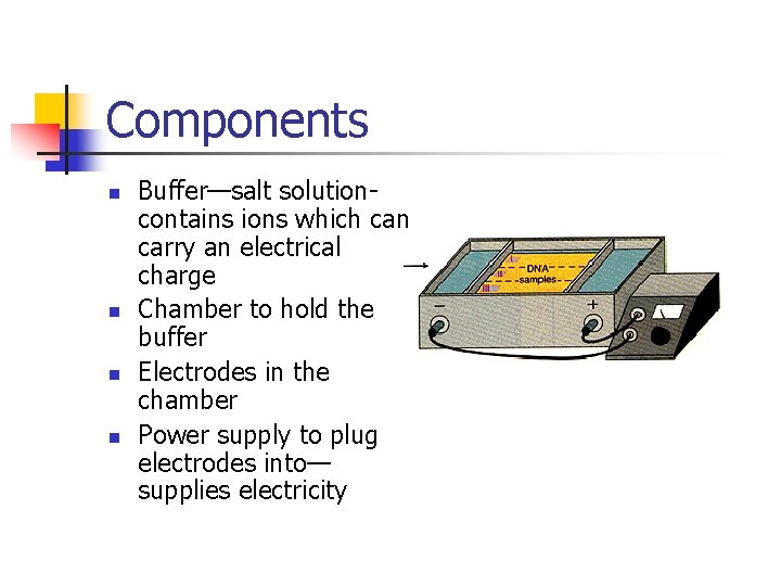 Components n n Buffer—salt solutioncontains ions which can carry an electrical charge Chamber to
