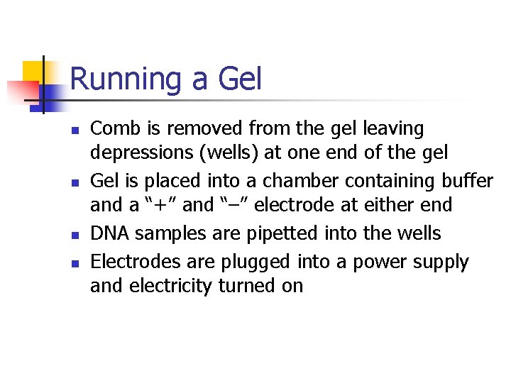 Running a Gel n n Comb is removed from the gel leaving depressions (wells)