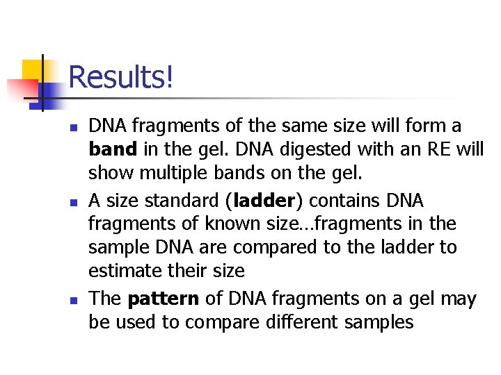 Results! n n n DNA fragments of the same size will form a band
