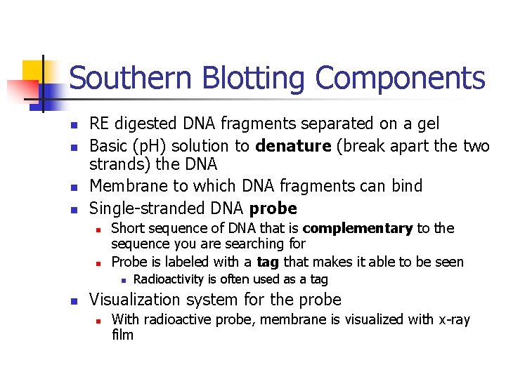 Southern Blotting Components n n RE digested DNA fragments separated on a gel Basic