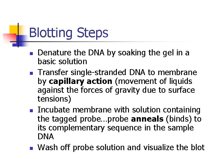 Blotting Steps n n Denature the DNA by soaking the gel in a basic