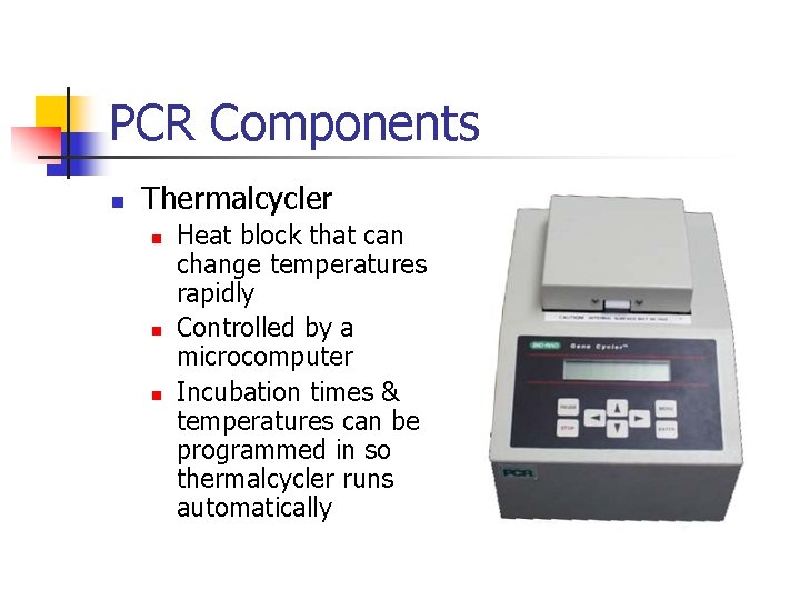 PCR Components n Thermalcycler n n n Heat block that can change temperatures rapidly