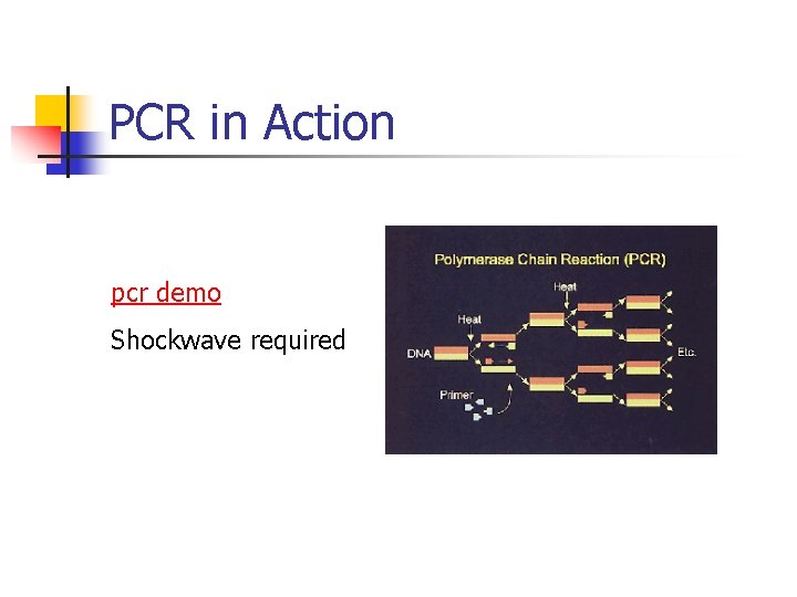 PCR in Action pcr demo Shockwave required 