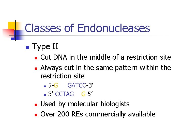 Classes of Endonucleases n Type II n n Cut DNA in the middle of
