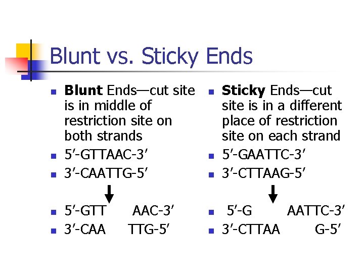Blunt vs. Sticky Ends n n n Blunt Ends—cut site is in middle of