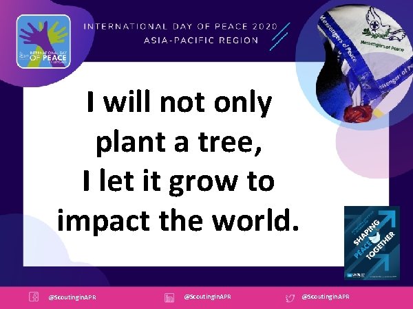 I will not only plant a tree, I let it grow to impact the