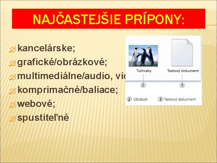 NAJČASTEJŠIE PRÍPONY: kancelárske; grafické/obrázkové; multimediálne/audio, video; komprimačné/baliace; webové; spustiteľné 