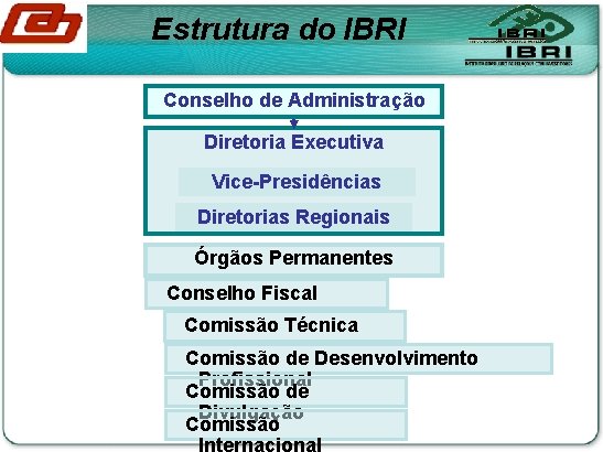 Estrutura do IBRI Conselho de Administração Diretoria Executiva Vice-Presidências Diretorias Regionais Órgãos Permanentes Conselho