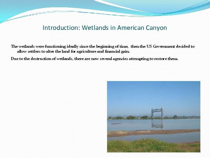 Introduction: Wetlands in American Canyon The wetlands were functioning ideally since the beginning of