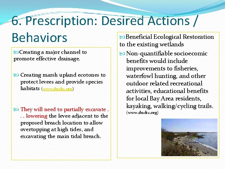 6. Prescription: Desired Actions / Beneficial Ecological Restoration Behaviors to the existing wetlands Creating