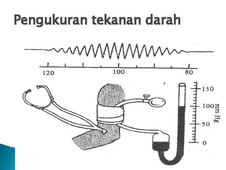 Pengukuran tekanan darah 