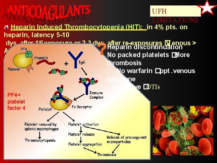 UFH LIMITATIONS Heparin Induced Thrombocytopenia (HIT); in 4% pts. on heparin, latency 5 -10