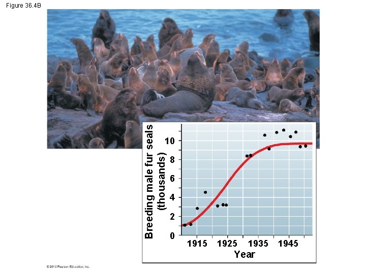 Breeding male fur seals (thousands) Figure 36. 4 B 10 8 6 4 2