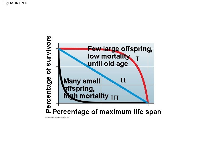 Percentage of survivors Figure 36. UN 01 Few large offspring, low mortality I until