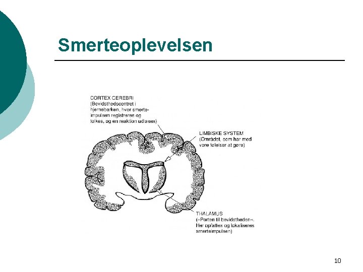 Smertebehandling Unges forbrug af medicin Lidelser Medicinforbrug 2