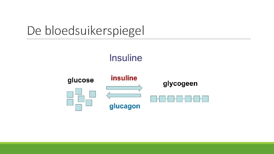 De bloedsuikerspiegel 